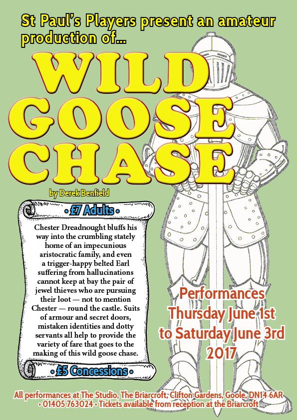 Wild Goose Chase poster